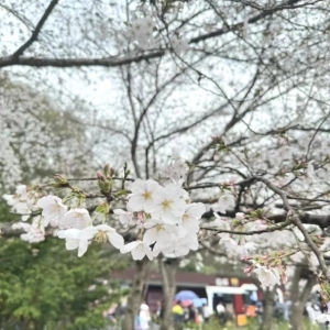 春暖花開(kāi) 約會(huì)女神丨匯信集團(tuán)關(guān)愛(ài)女職工活動(dòng)